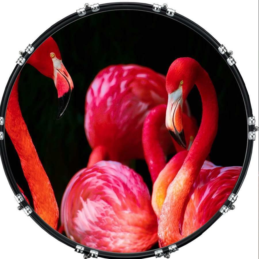 Custom 22" Kick Bass Drum Head Graphical Image Front Skin Flamingo 1