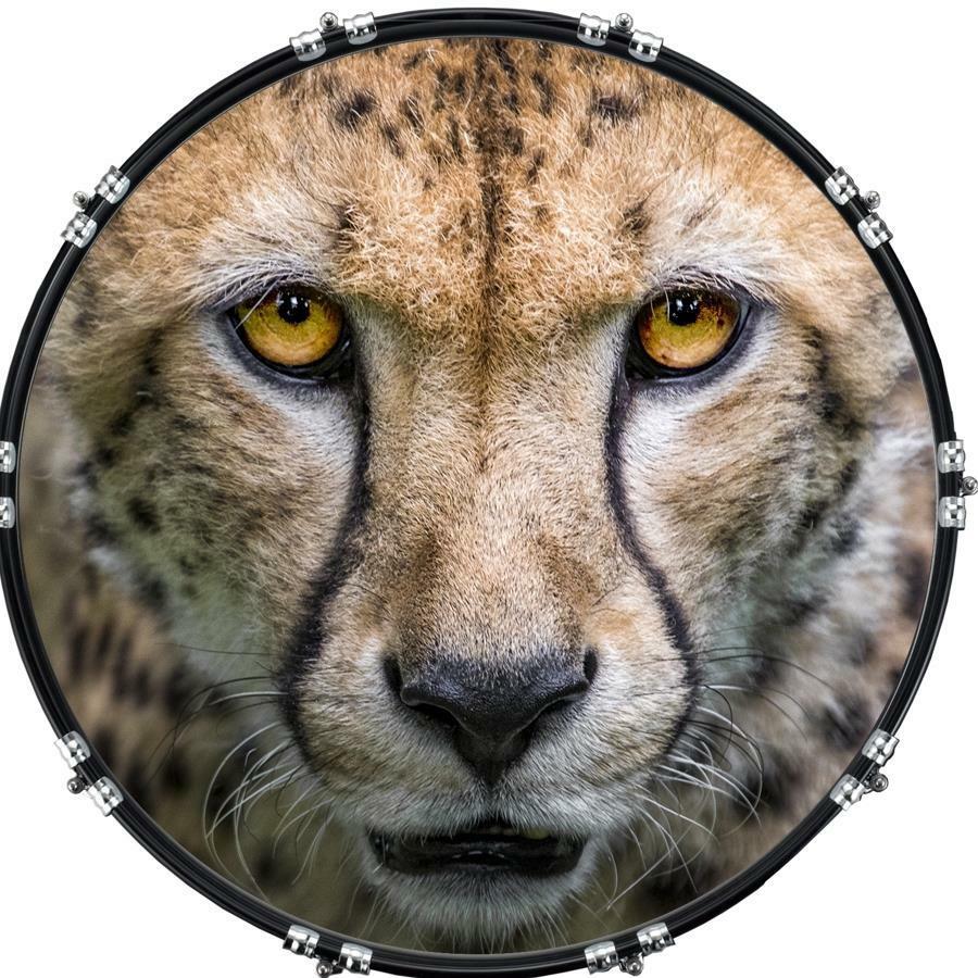 20" Custom Bass Kick Drum Front Head Graphic Graphical Cat Glare